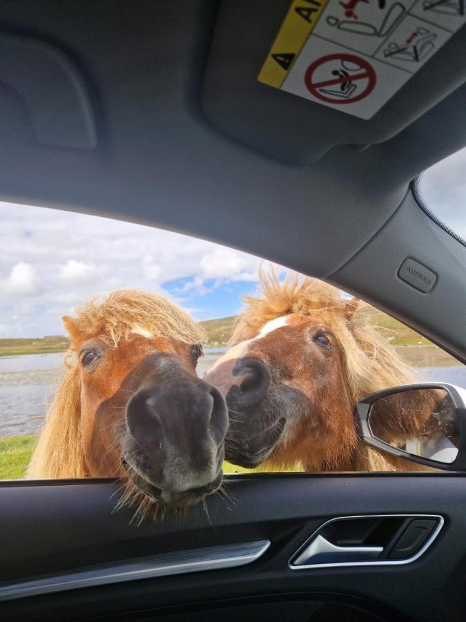 Pollachara Loch An Eilean Pod Isle Of South Uistヴィラ エクステリア 写真